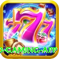 666DGame Turbo Gaming App